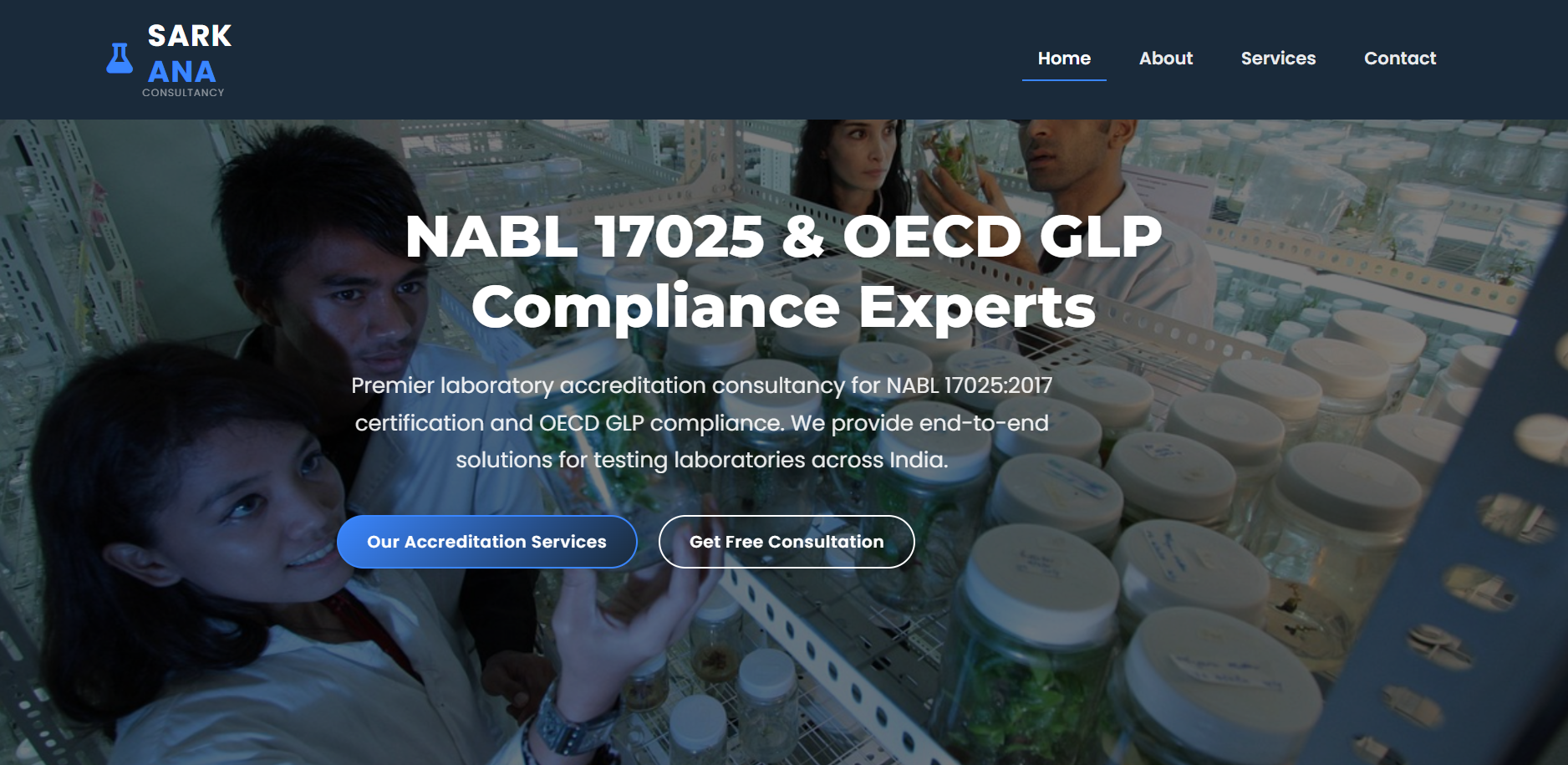 Sarkana Consultancy Website