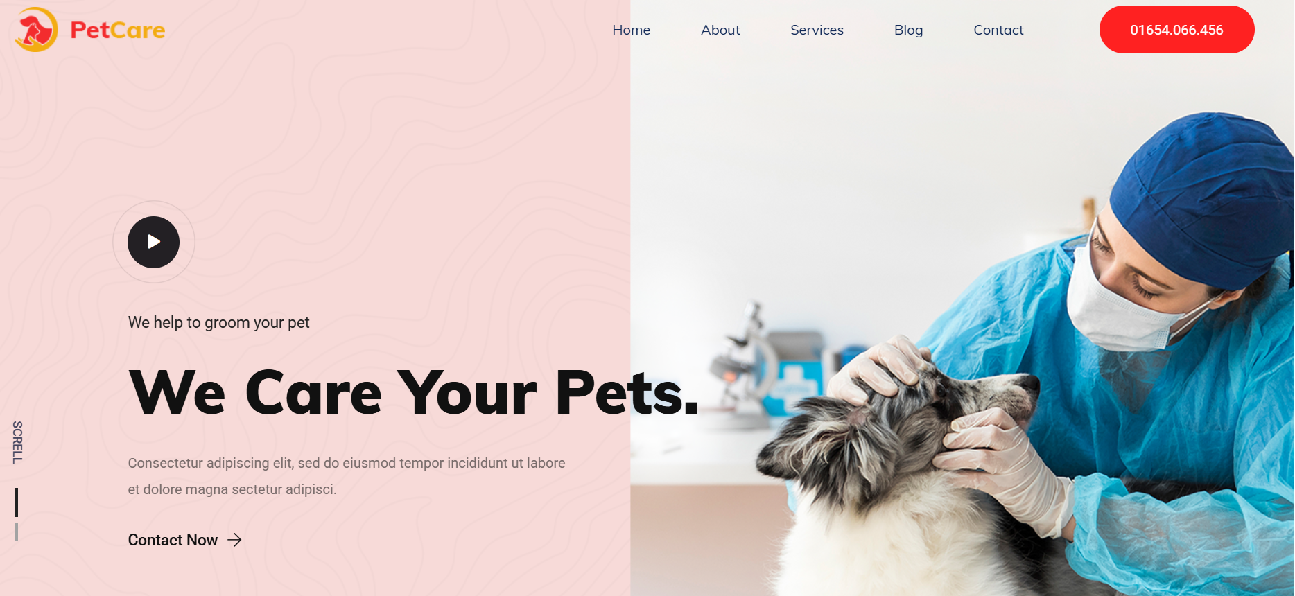 Veterinary Project Website