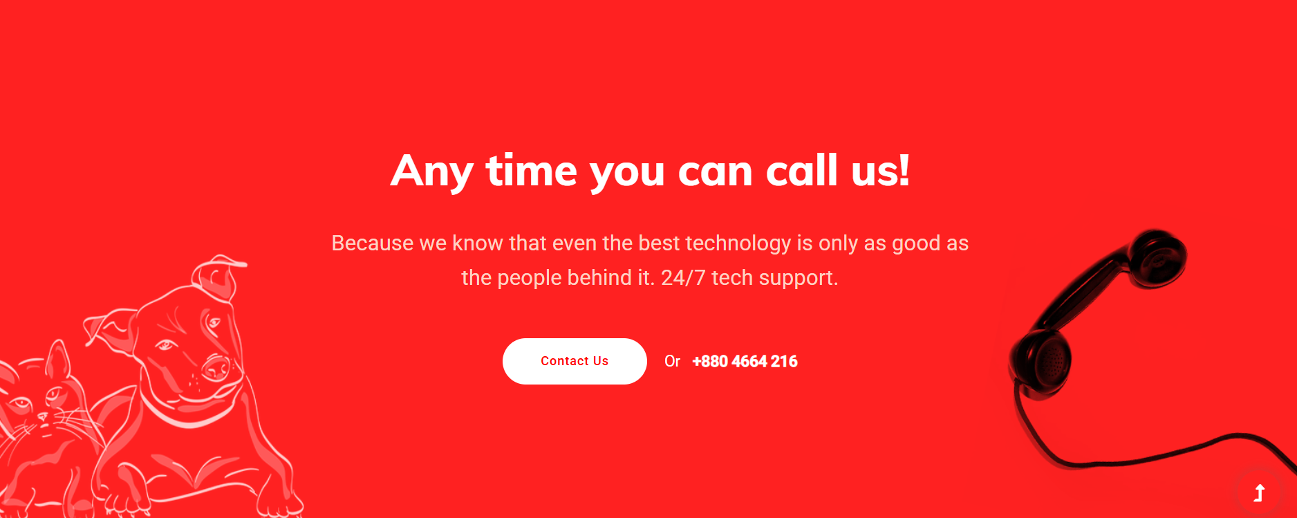 Veterinary Doctors Team